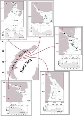 Patterns of Benthic Communities in Arctic Fjords (Novaya Zemlya Archipelago, Kara Sea): Resilience vs. Fragility